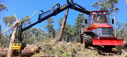 Vehículo autocargador forestal