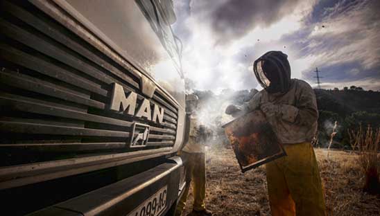 Transporte de colmenas de abejas en un MAN