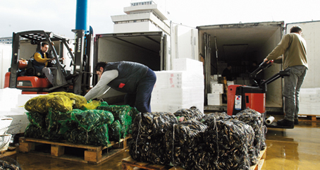 “Mercado congelado”. A partir del segundo trimestre del año, las empresas de transporte frigorífico empiezan a notar el aumento de la demanda.