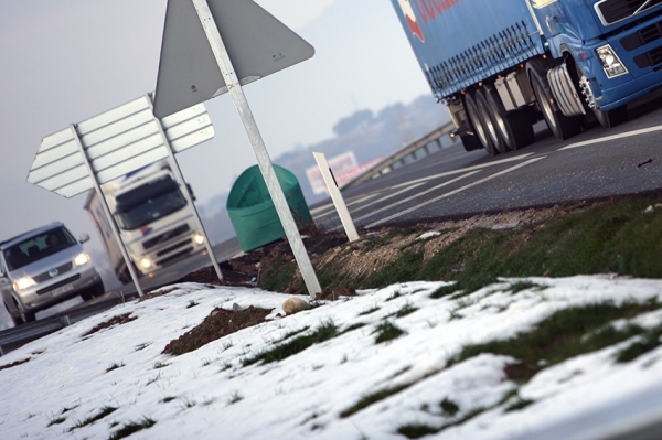 Neumáticos de invierno