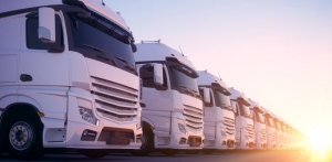 Advanced Fleet Management Consulting 