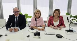Faconauto propone un plan de renovación de flotas ligado a emisiones para camiones