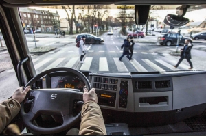 Seguridad vial y transporte