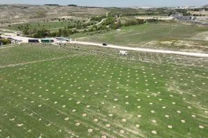 Bosque Scania en Rivas Vaciamadrid