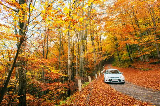 Conducción en otoño