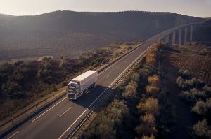 Camión en carretera