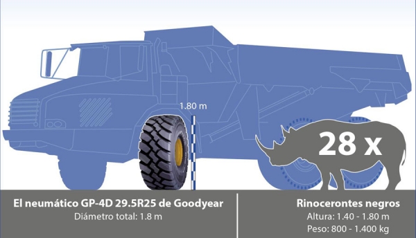 Goodyear GP-4D