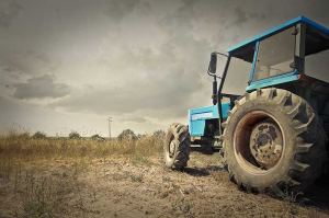 Tractor en campo español