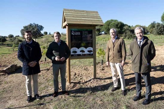 Bosque Sigaus en Tres Cantos