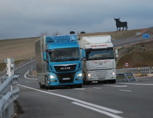 Encuesta Permanente Transporte Mercancías