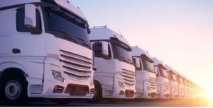 Advanced Fleet Management Consulting