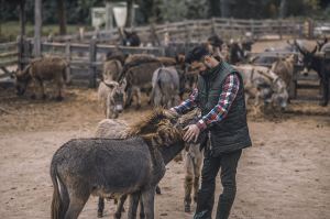 Granja de animales