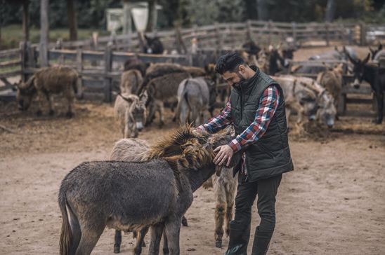 Granja de animales