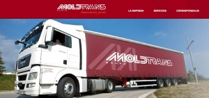 Página web del Grupo Moldtrans