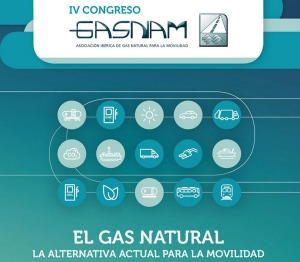 IV Congreso Gasnam