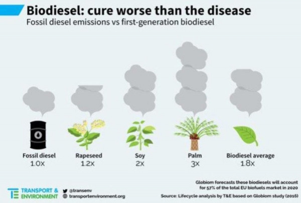 Emisiones del Biodiesel