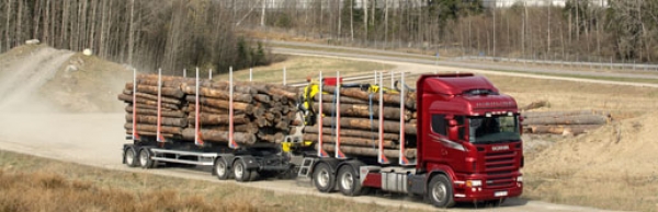 Transporte de madera