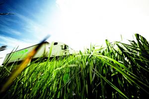 Biocarburantes aplicados al transporte por carretera