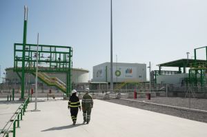 BP e Iberdrola impulsan el hidrógeno verde en Castellón