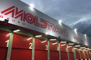 Grupo Moldtrans