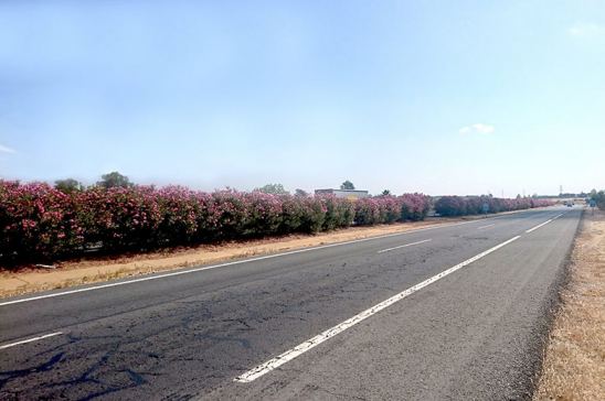 Plan de Inspección de la Red Vial de la AEC