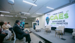 Así se rentabiliza la inversión en sostenibilidad: análisis de los CAEs